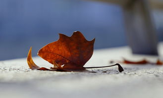 华体会在线-NBA赛季助攻王表现动态,nba本赛季助攻王 第3张 华体会在线-NBA赛季助攻王表现动态,nba本赛季助攻王 第3张