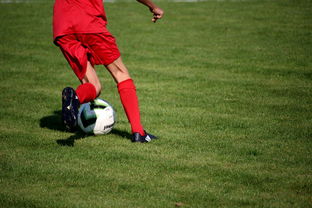 华体会在线登录-篮球比赛策略智能辅助系统研发与应用，篮球智能训练