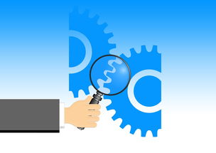 华体会网站-资本运作与竞技水平：豪门如何保持竞争力，资本的竞争