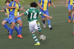 华体会官方网站-男子国家队拓展多战术组合备战国际高强度对抗，男子国家队世界排名