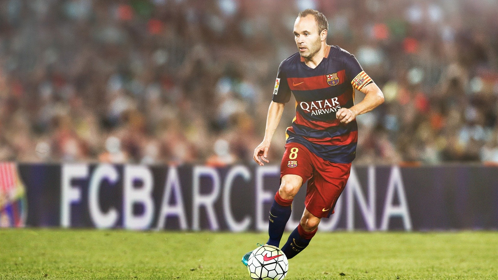 这一球太精彩，这球真白,这球真好看